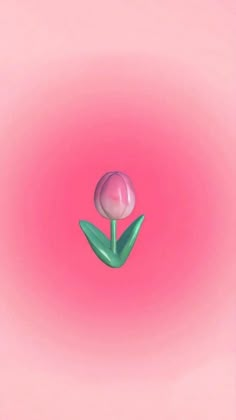 a single pink flower on a pink background