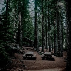 two picnic tables sitting in the middle of a forest