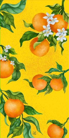 Aesthetic fruit wallpaper phone Aesthetic Fruit Wallpaper, Orange Fruit Background, Woodland Kitchen, Orange Aesthetic Wallpaper, Kitchen Design Tips, Vibrant Wallpaper, Aesthetic Fruit, Fruit Wallpaper, Honey Bunny