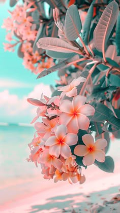 some pink flowers and green leaves on a tree by the beach with blue sky in the background