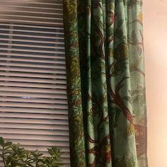 there is a plant in the window sill next to the curtains and blinds on the windowsill