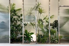 the storefront is decorated with plants and glass walls that say, store zero on it