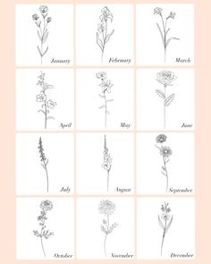 an image of flowers in different styles and sizes