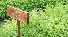 a wooden sign sitting in the middle of a lush green field