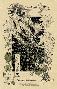 the cover art for an album with flowers and butterflies on it, in black and white