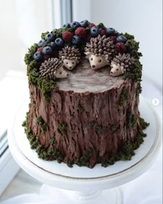 there is a cake decorated with hedges and berries