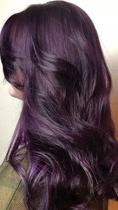 Aubergine Hair Color, Plum Hair Dye, Hair Color Guide, Dyed Tips, Dark Purple Hair