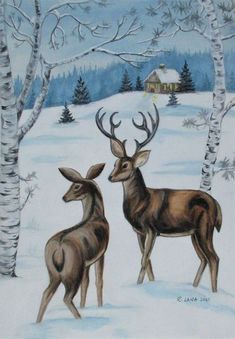 two deer standing next to each other on a snow covered ground in front of trees