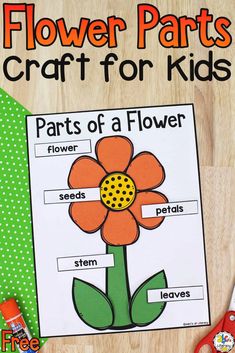 flower parts craft for kids to make