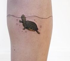 a small turtle swimming in the water with bubbles on it's back calfocks