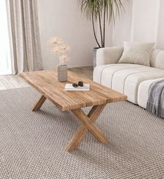 a living room with a couch, coffee table and potted plant