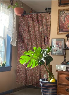 a potted plant sitting in front of a window next to a dresser and mirror