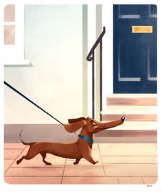 a brown dog pulling a blue leash on top of it's back legs in front of a door