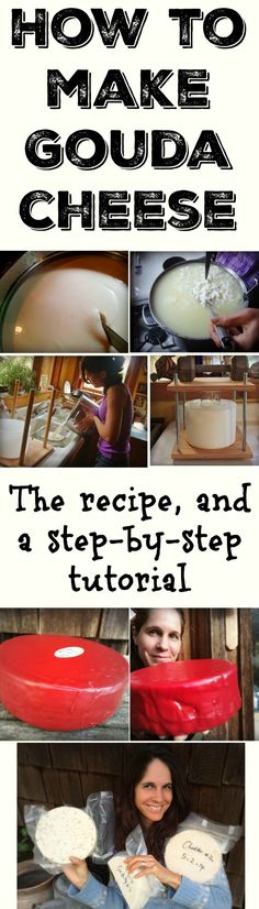 how to make gourd cheese the recipe, and a step - by - step guide