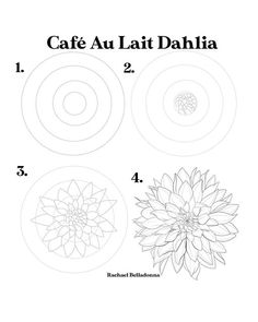 the instructions for how to draw a flower in three different circles, each with their own name