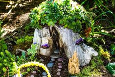 a small tree stump with plants growing out of it