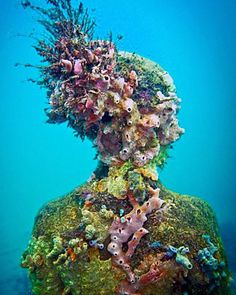 an underwater view of some corals and seaweed on the bottom of a statue