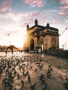 a flock of birds sitting on the ground in front of a building