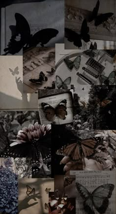 a collage of butterflies and flowers in black and white