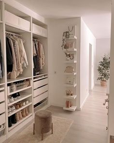 a walk in closet filled with lots of white furniture and shelves next to a plant