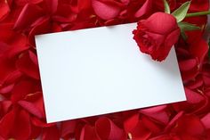 a red rose with a white card in the middle surrounded by petals and petals around it