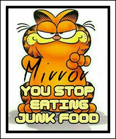 That's right Blame Mira  🙄 Garfield Quotes, Garfield Pictures, Garfield Cartoon, Garfield And Odie, Cats Rule, Morning Greetings, Goals Planner, Fat Cats, Good Morning Greetings