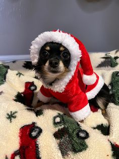 a small dog wearing a santa suit on top of a bed covered in christmas decorations