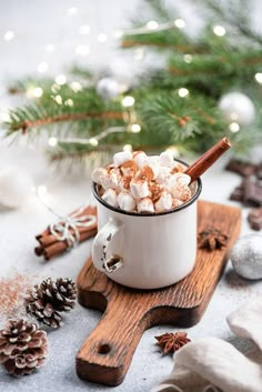 hot chocolate with marshmallows and cinnamon in a mug