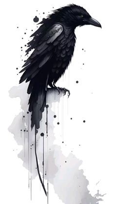 a black bird sitting on top of a white wall next to paint splatters