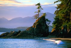 an island in the middle of water with trees on it and mountains in the background