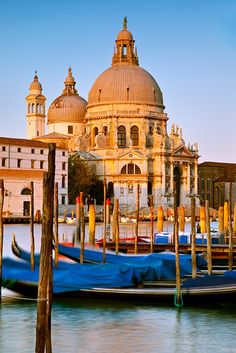 gondolas are tied to poles in front of a large building on the water