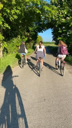 three people riding bicycles down a tree lined road