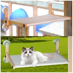 a cat laying on top of a wooden shelf next to a green grass covered field