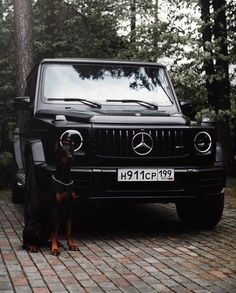 a dog sitting in front of a black mercedes truck