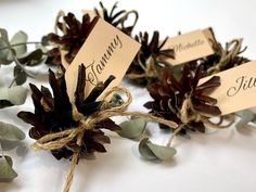 pine cones tied to twine with name tags