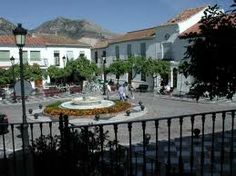 a courtyard with a fountain surrounded by flowers