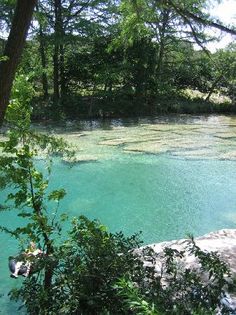 the water is crystal blue and green in this area with rocks, trees, and grass