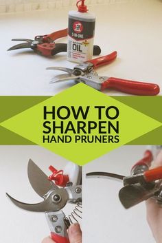 how to sharpen hand pruniers on a table with text overlay that reads, how to sharpen hand pruniers