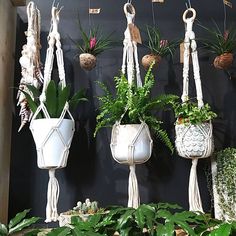 several hanging planters with plants in them on a black wall next to potted plants