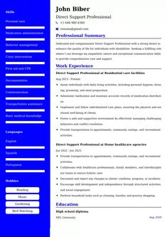 a blue and white resume template