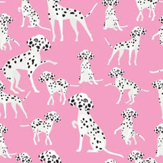 a pink background with black and white dalmatian dogs