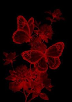 red flowers and butterflies against a black background