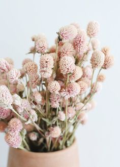 pink flowers in a vase on a table