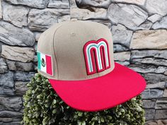 Mexico Emblema Mexicano Snapback Hat Snapback Adjustment. One Size Adjustable Cap 100% Cotton  a stylish cap for any occasion, a perfect gift for a special person ⚠️Shipping Information⚠️ We ship all of our hats in a box in order to prevent the hat from getting damaged.  I cannot guarantee a delivery date. Items usually take up to 5 business days to be delivered but please keep in mind that USPS can delay a package if they reach an inconvenience on their end. If you have not received your item but the tracking says delivered, I recommend contacting your local post office as soon as possible to find out the location of your item. Sometimes packages can get misplaced or might be held at the post office. Red Trucker Snapback Fitted Hat, Red Snapback Hat With Embroidered Logo One Size, Red Embroidered Snapback Hat, Red Snapback Cap With Logo Patch, Swag Hats, Snap Back Hat, Red Cotton 5-panel Snapback Hat, Mexican Hat, Back Hat