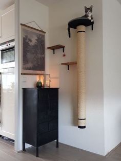 a cat sitting on top of a scratching post in a living room next to a cabinet