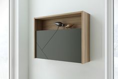 two birds perched on top of a wooden shelf in a white walled room with windows