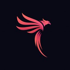 a red and pink bird logo on a black background