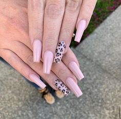 #leopard #extra #long #nails #nailart #nailsofinstagram #naildesign #for #you #christmas #want #new #fresh #winter #xmas Pink Leopard Nails Designs, Leopard Print Pink Nails, Leopard Nails Pink, Leopard Nails Designs, Nails Leopard Print, Pink Leopard Nails, Extra Long Nails, Nails Leopard, Band Nails