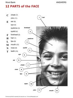 the parts of a woman's face with labels on it and an image of her