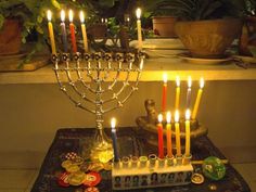 the menorah is lit up with candles and other items around it in front of a potted plant